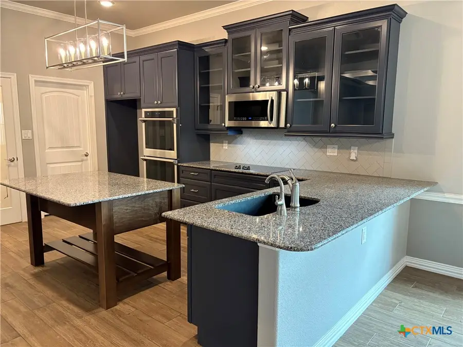 8381 Goliath Drive, Belton, TX 76513 - Image #3