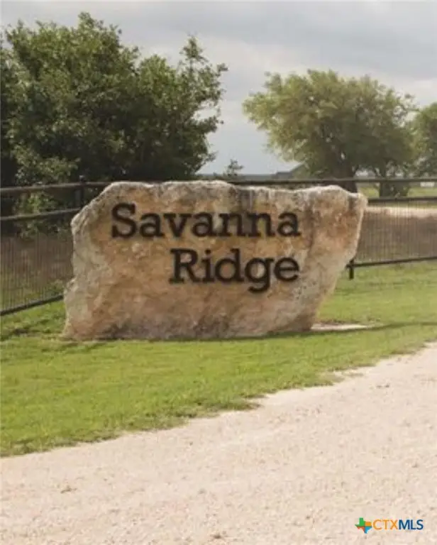 1867 Savanna Ridge Road, Lometa, TX 76853 - Image #3