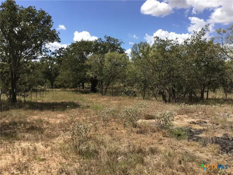 127 Country Acres Pr, Gonzales, TX 78629 - Image #3