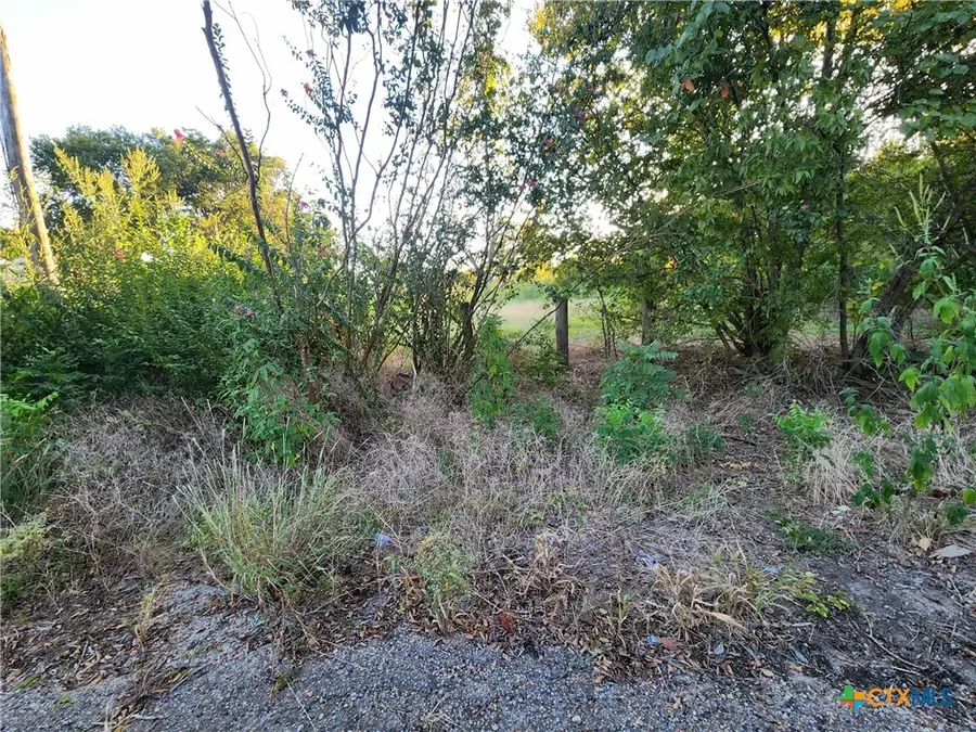 612 S Criswell Street, Mart, TX 76664 - #3