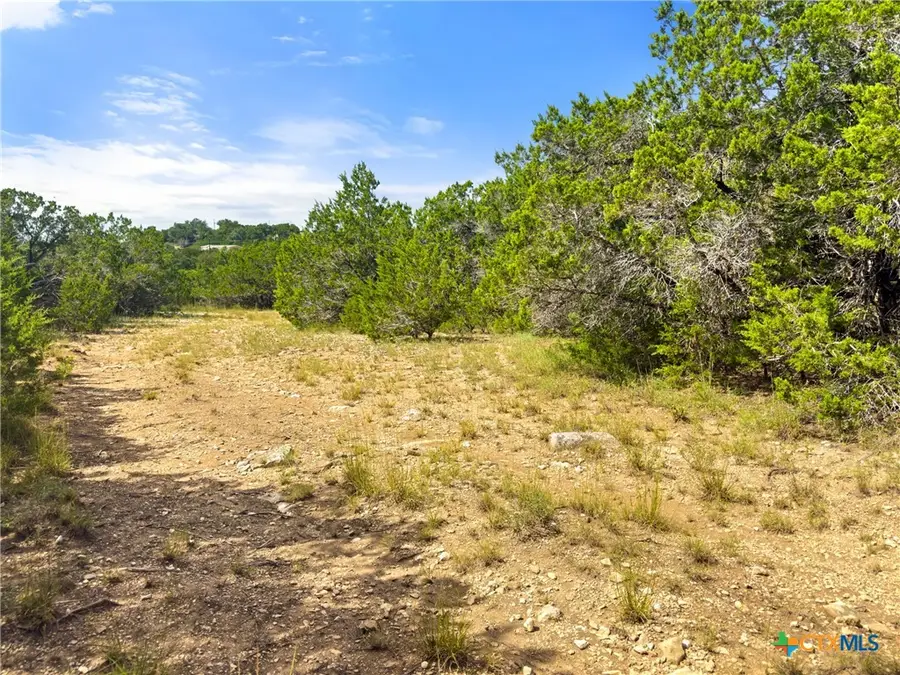 242 Thoroughbred Lane, Spring Branch, TX 78070 - Image #2