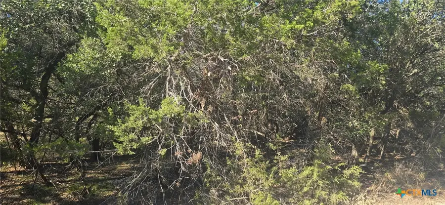 716 Line Camp Loop, Spring Branch, TX 78070 - Image #2