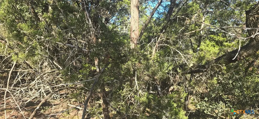 716 Line Camp Loop, Spring Branch, TX 78070 - Image #3