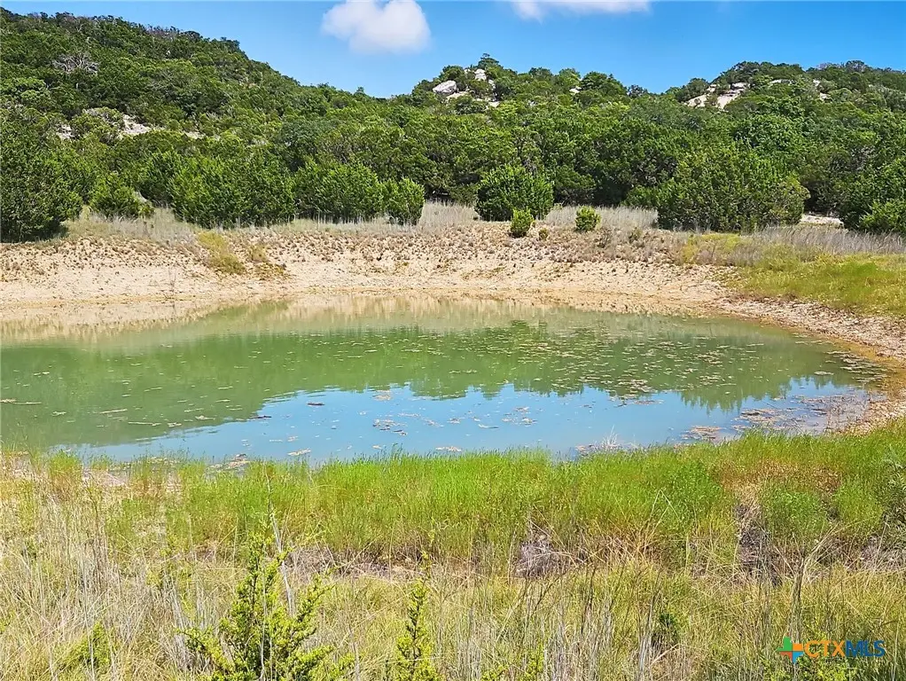 TBD-17.6 Acres Fm 1690, Gatesville, TX 76528 - Image #1