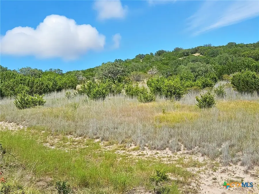 TBD-17.6 Acres Fm 1690, Gatesville, TX 76528 - Image #3