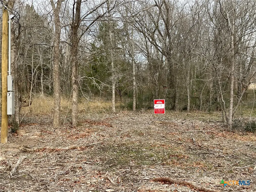 1310 Cypress Trail Loop, Praesel, TX 76567 - Image #1