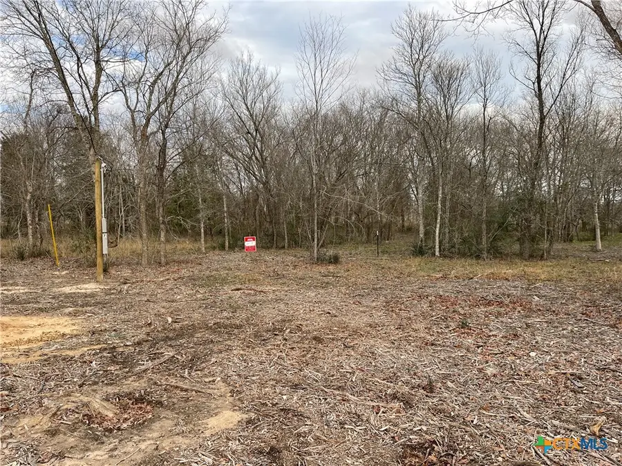 1310 Cypress Trail Loop, Praesel, TX 76567 - Image #3