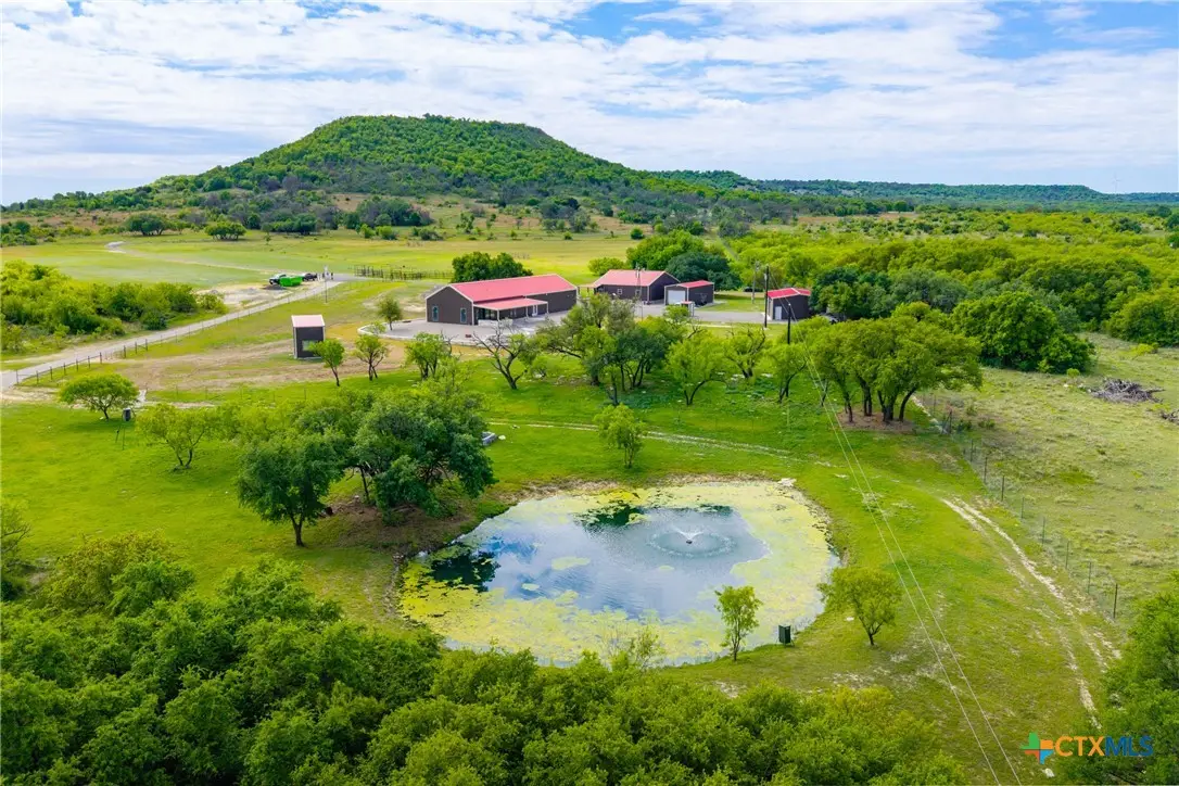 3021 Fm 1689, Comanche, TX 76442 - #1