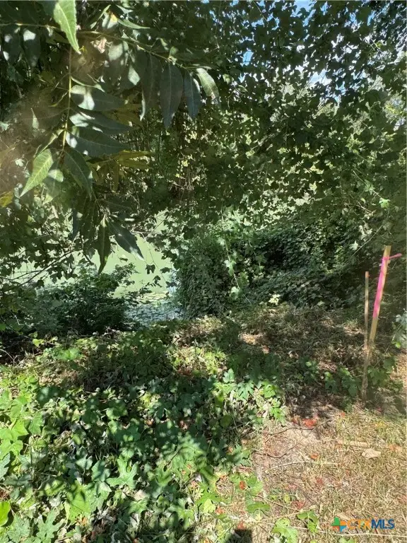 380 Guadalupe River Drive, Seguin, TX 78155 - #2