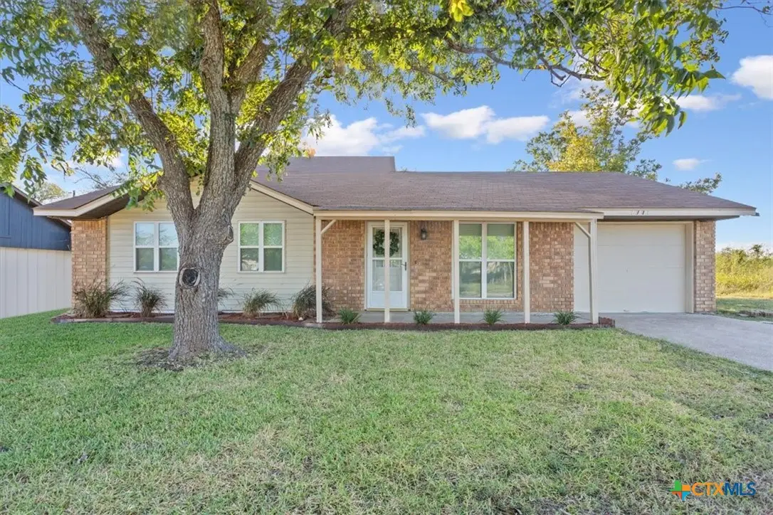 1001 Pamela Avenue, Troy, TX 76579 - Image #1