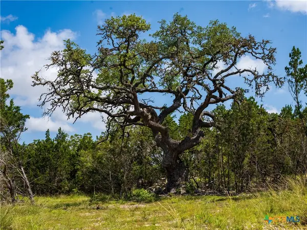 000 Oak Valley Ranch, Dripping Springs, TX 78676