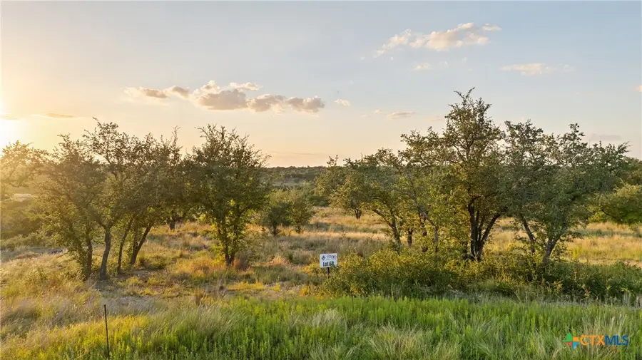 Lot 68 Leaning Madrone Drive, Johnson City, TX 78636 - Image #3