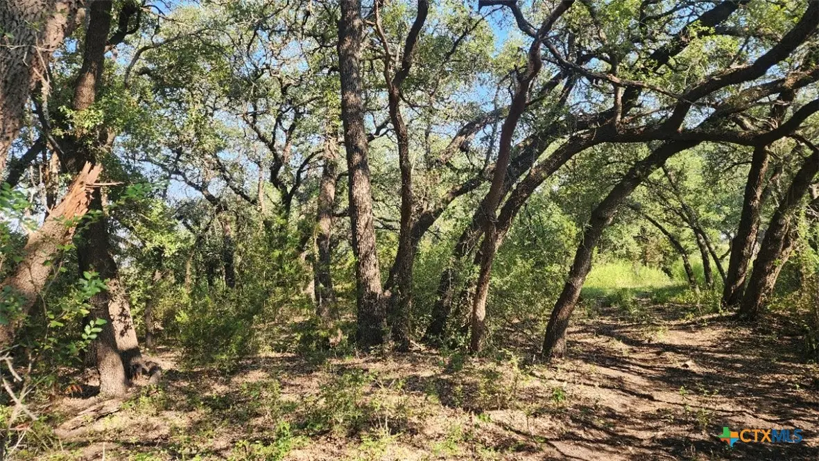 TBD County Road 326, Bertram, TX 78605 - Image #1