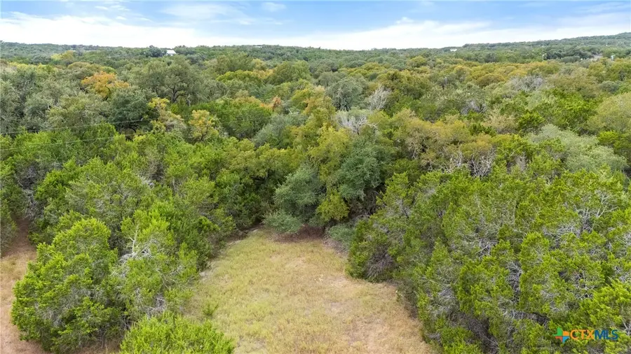 2095 Desiree Street, Canyon Lake, TX 78133 - Image #3