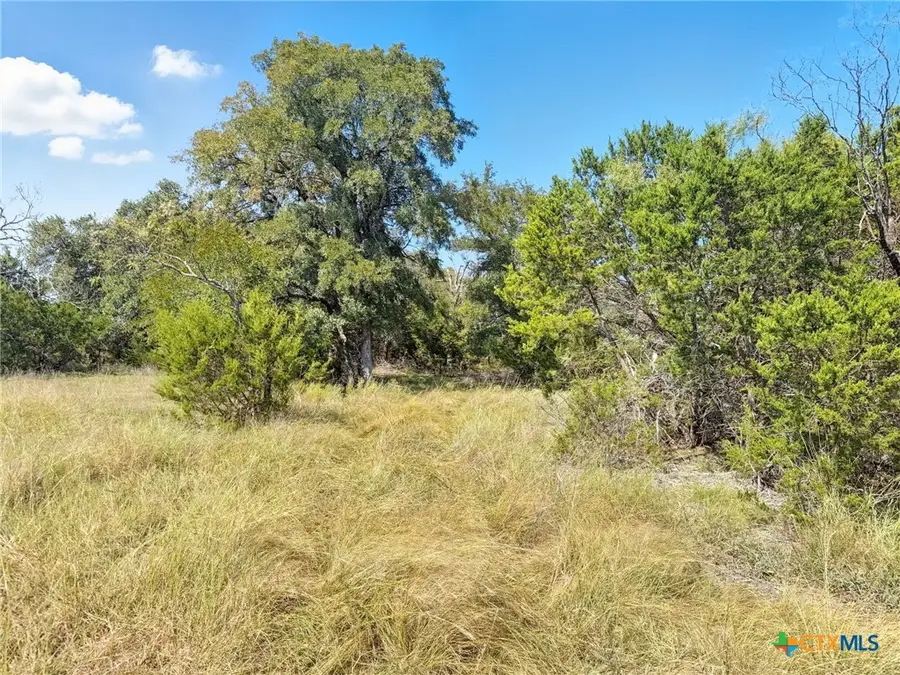 Lot 2 Ph 3 Pr 42110, Evant, TX 76525 - Image #2