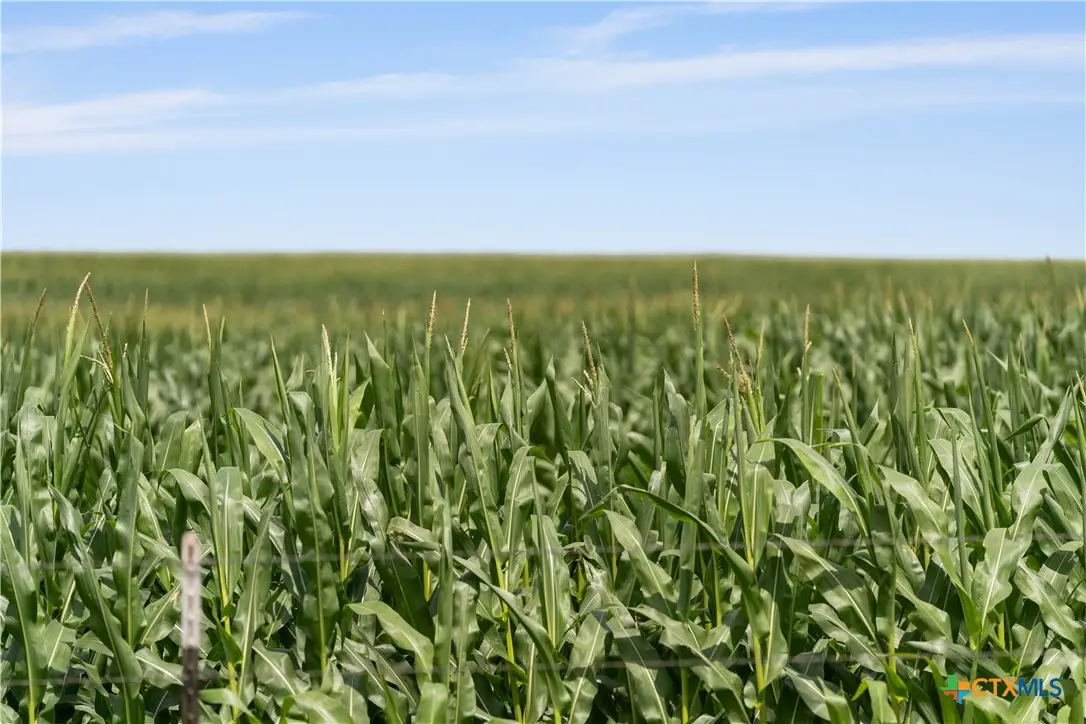 13661 Siler Road, Moody, TX 76557 - Image #1