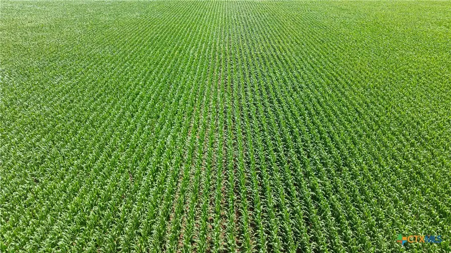 13661 Siler Road, Moody, TX 76557 - Image #2