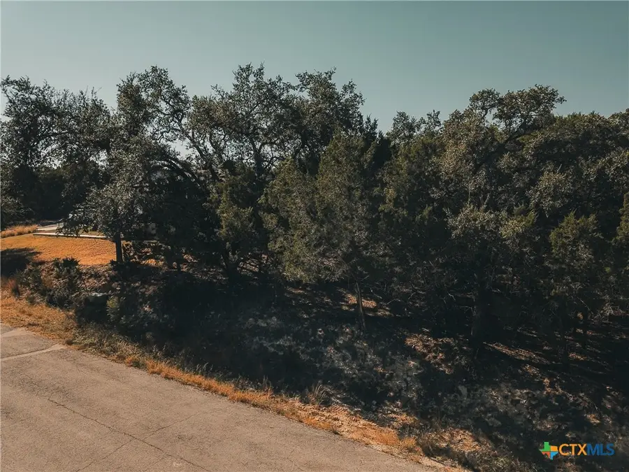 21703 Pope Drive, Leander, TX 78645 - Image #3