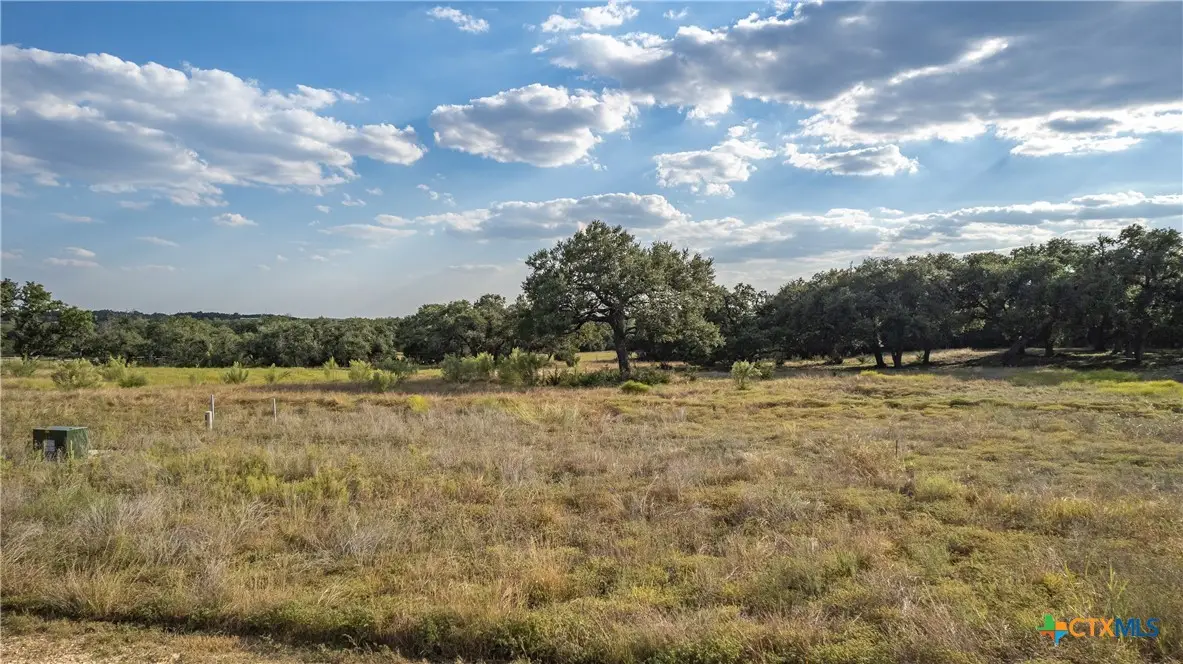 781 Annabelle Avenue, Bulverde, TX 78163 - Image #1