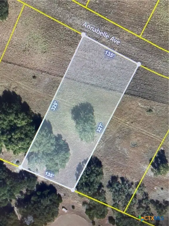 781 Annabelle Avenue, Bulverde, TX 78163 - Image #3