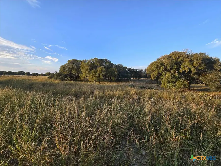 317 Yellowstone Drive, Oglesby, TX 76561 - Image #3