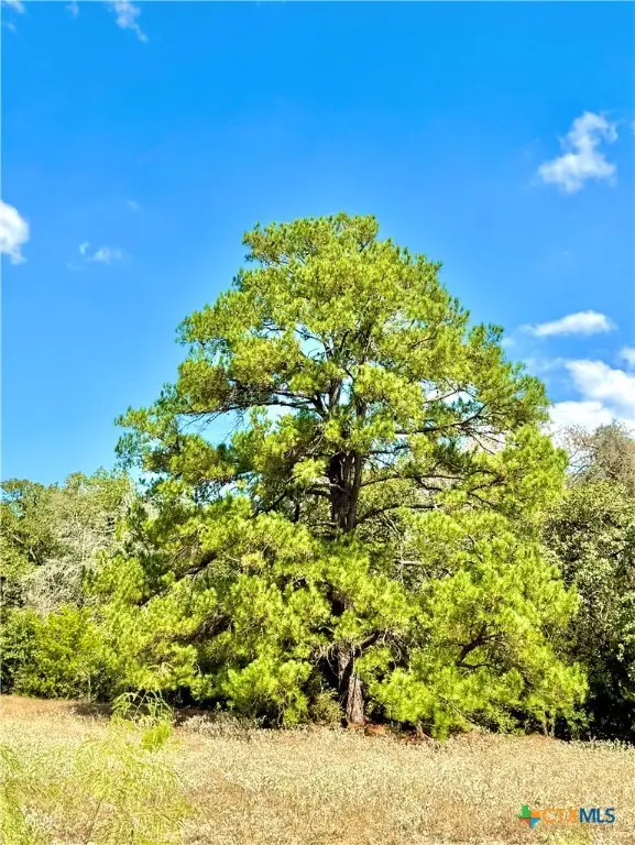 TBD Rabel Road, Rosanky, TX 78953 - Image #2