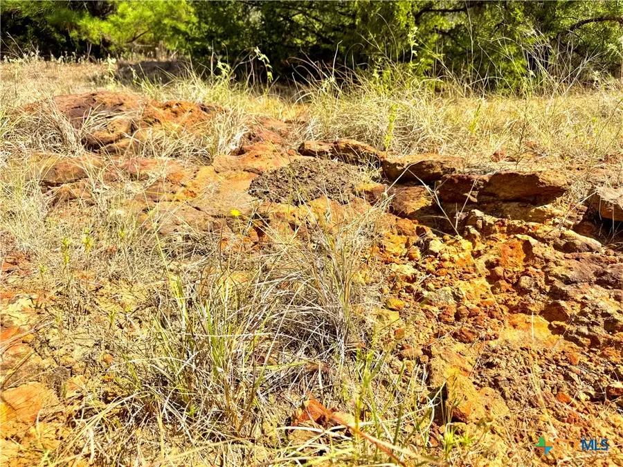 TBD Rabel Road, Rosanky, TX 78953 - Image #3