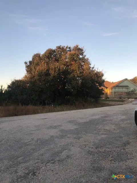 0 A. Coleman Street, Blanco, TX 78606 - Image #1