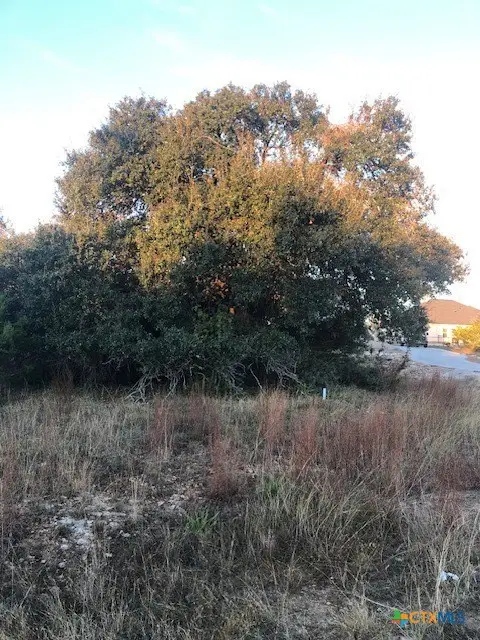 0 A. Coleman Street, Blanco, TX 78606 - Image #3