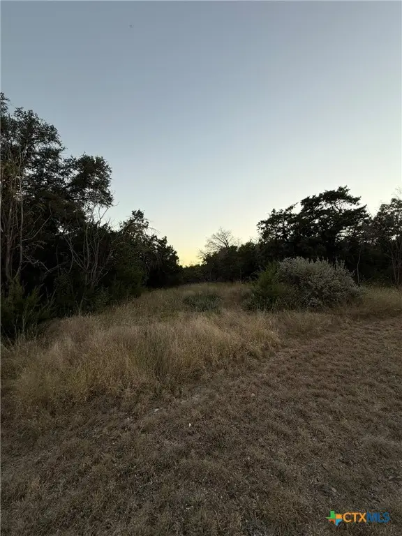 119 Daisy Trail, Belton, TX 76513 - Image #3