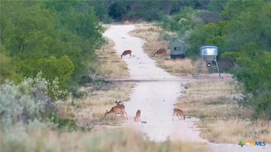 000 Ranch To Market 3008, Brackettville, TX 78832 - Image #2