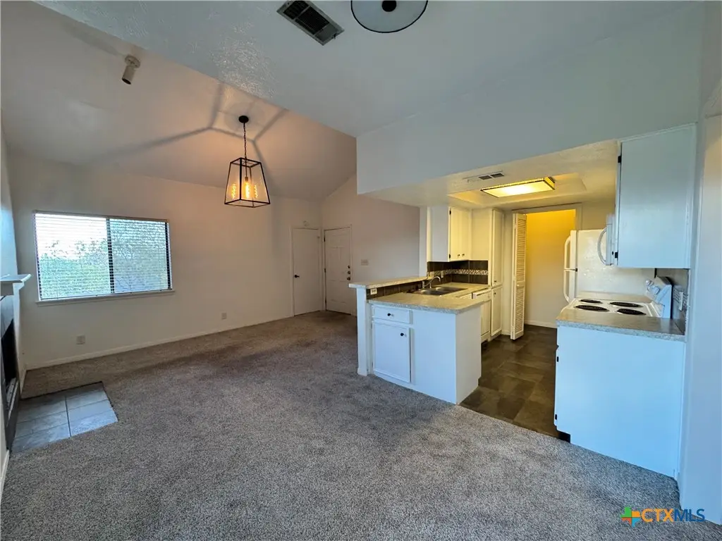 1013 Chestnut Street #6, San Marcos, TX 78666 - Image #1