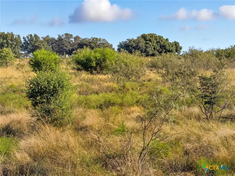 Lot 8 Ph 1 Pr 4218, Evant, TX 76525 - Image #3