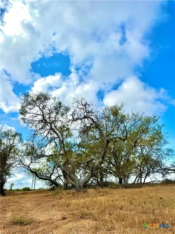 6052 Tenny Creek Rd, Luling, TX 78648 - Image #3