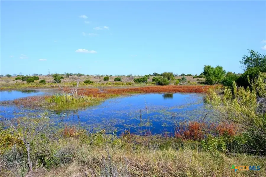 TBD-61.63 Acres County Road 414, Jonesboro, TX 76538 - Image #3