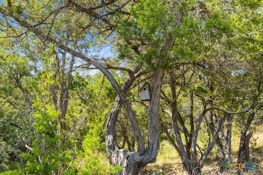 Tract 2 of 5818 Ranch Road 165, Blanco, TX 78606 - #3