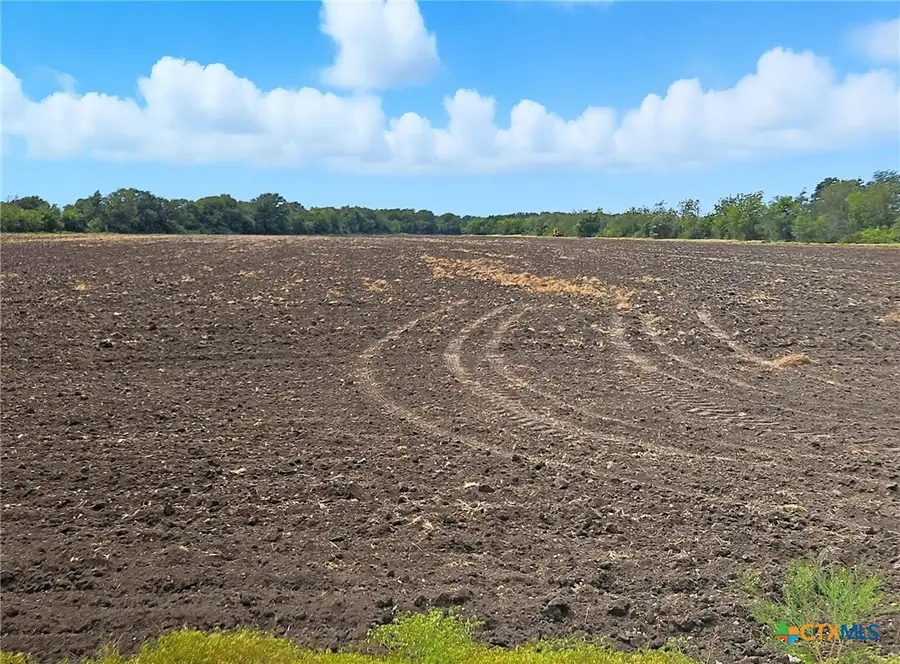 TBD-482 Acres W Fm 217, Jonesboro, TX 76538 - Image #2