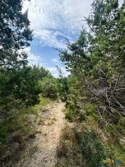 TBD Lot 3 Royal Eagle Dr., Fischer, TX 78623 - Image #3