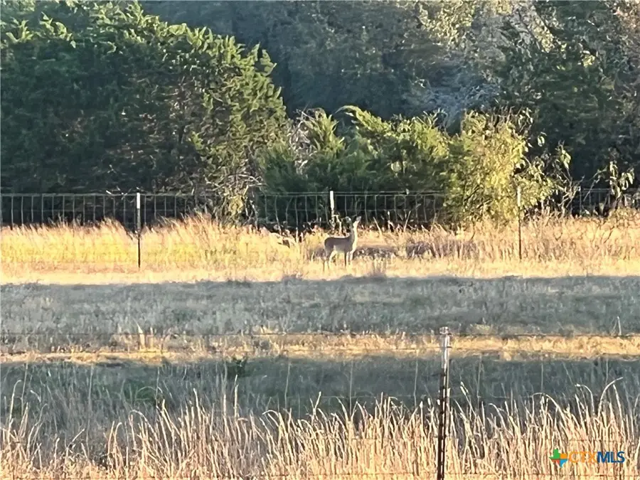 765 & 743 County Road 3371, Kempner, TX 76539 - Image #3