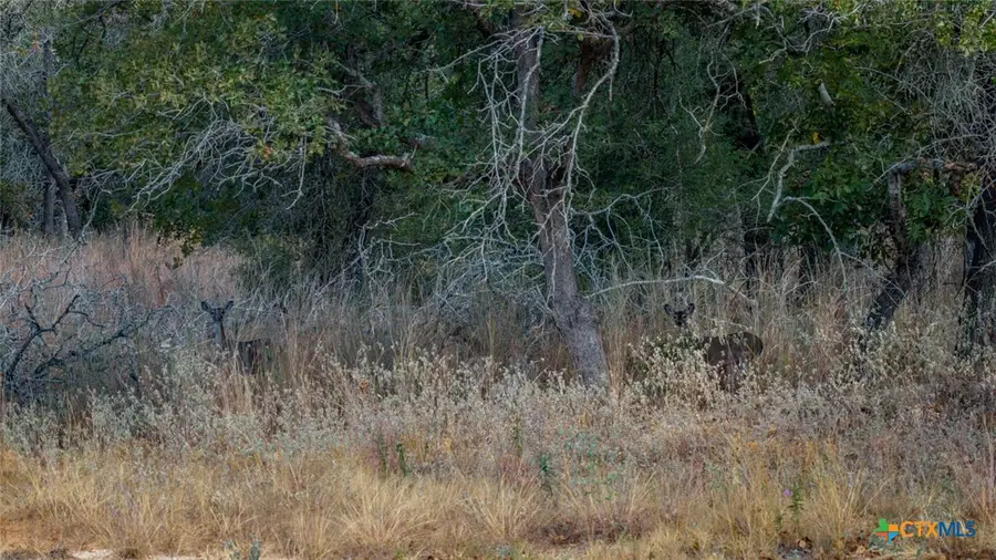 Tract 14 Sandstone Ln, Seguin, TX 78155 - Image #2
