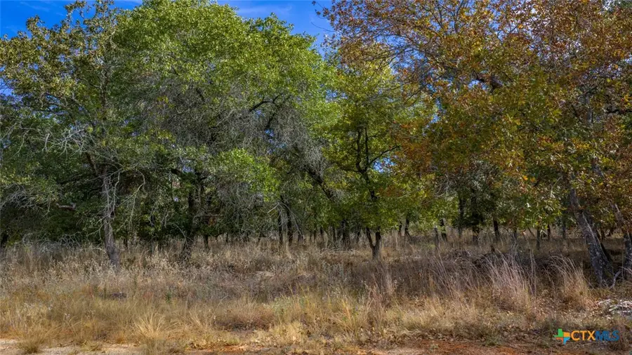Tract 14 Sandstone Ln, Seguin, TX 78155 - Image #3