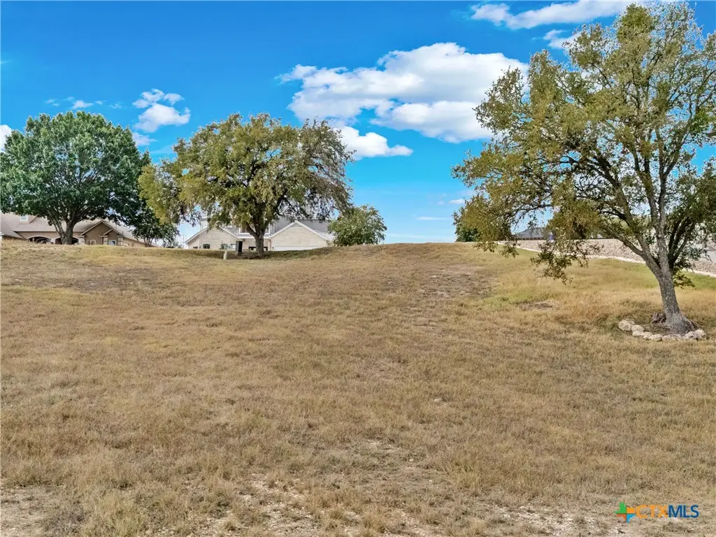 119 Pinnacle Drive, New Braunfels, TX 78130 - Image #1