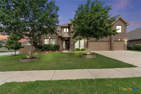 19900 Kite Wing Terrace, Pflugerville, TX 78660