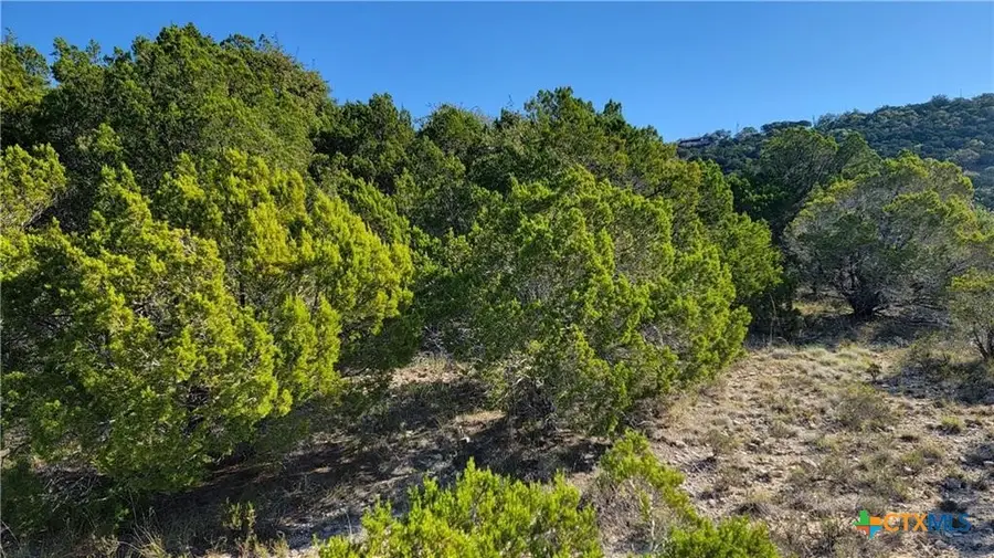 8523 Bronco Lane, Lago Vista, TX 78645 - Image #3