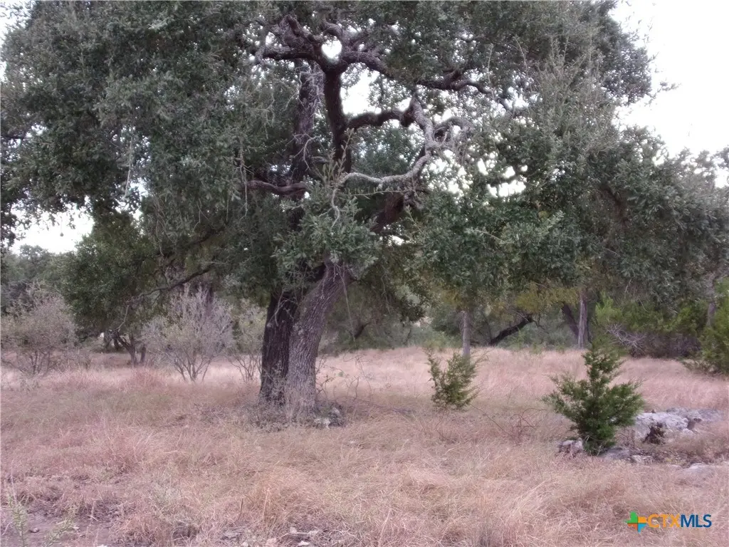 484 Havasu Point, Spring Branch, TX 78070 - #1