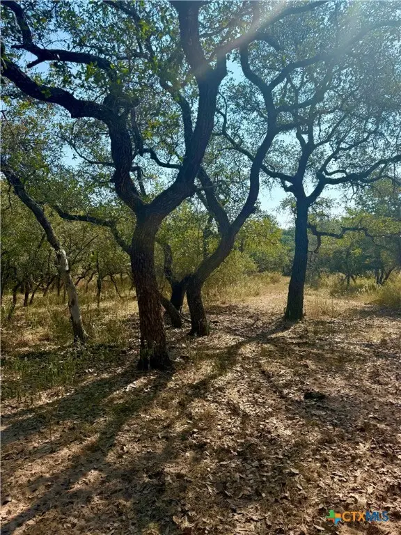 0 County Road 14/pvt 1066 Tx, Hallettsville, TX 77964