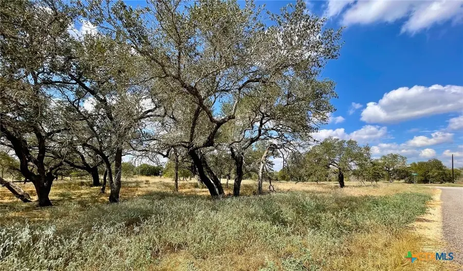 265 Firewheel Loop, Floresville, TX 78114 - Image #3