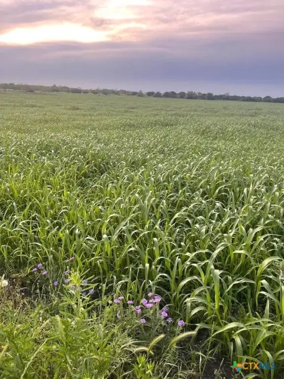 TBD Private Road 3642, Copperas Cove, TX 76522 - #1