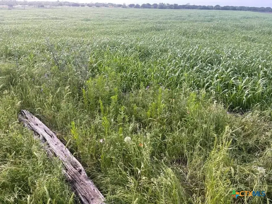 TBD Private Road 3642, Copperas Cove, TX 76522 - #2