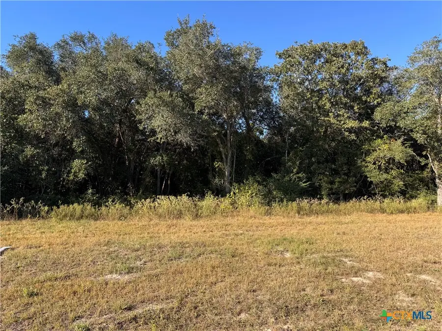 0000 Savannah Ranch Road, Inez, TX 77968 - Image #2
